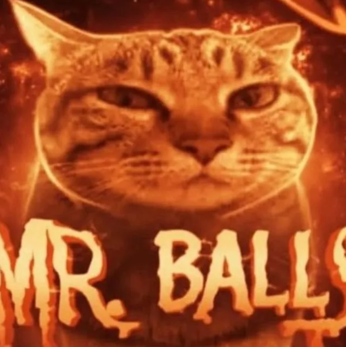 MrPower's profile picture
